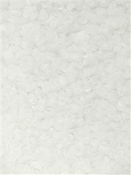 Angelina Cloud Poodle Fur